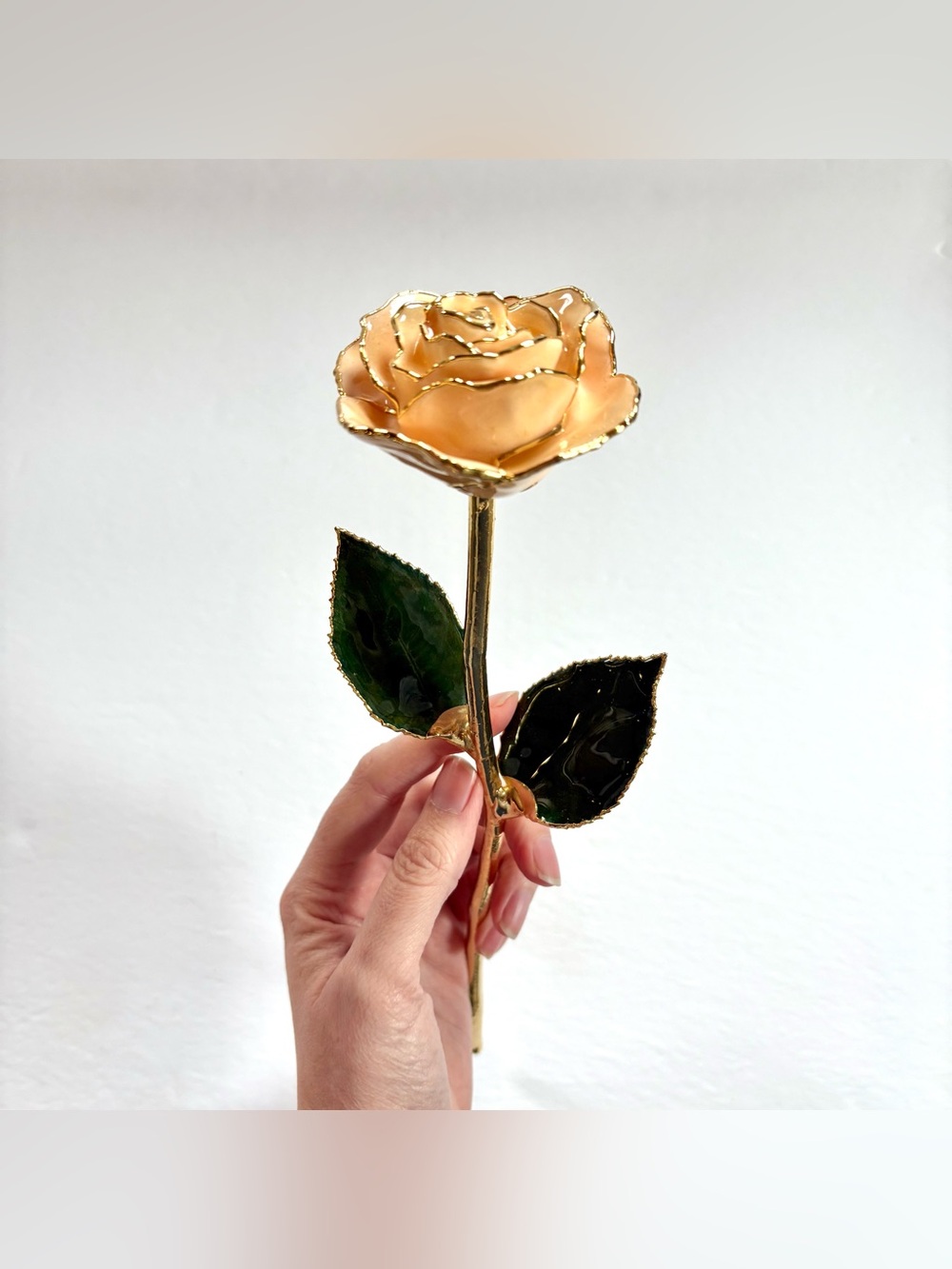24K Gold Dipped Peach Pink Rose